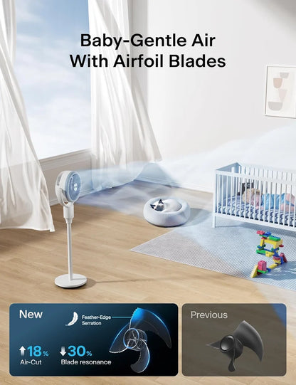 F1 Air Circulation Fan