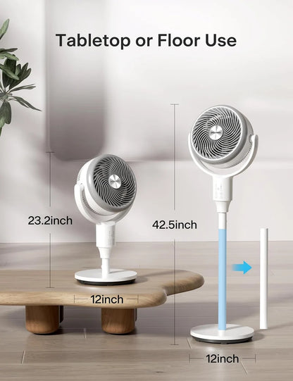 F1 Air Circulation Fan